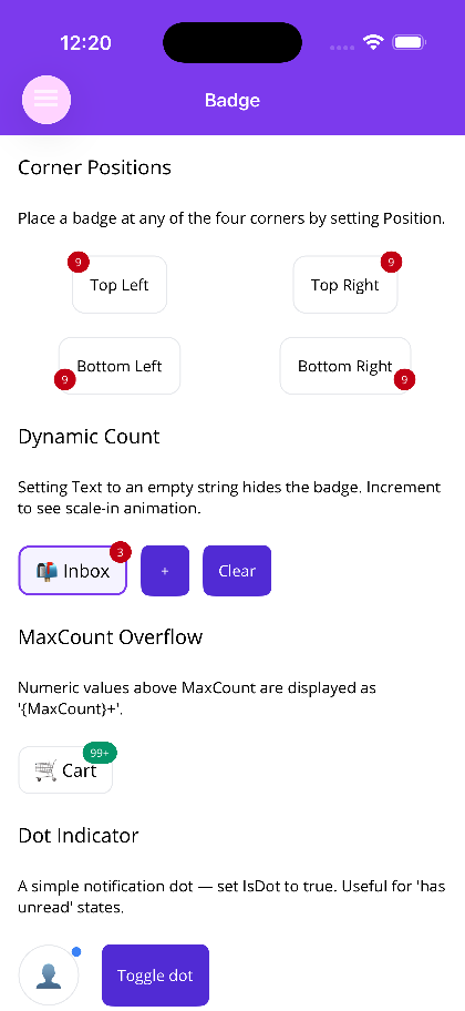BadgeView corner positions with dynamic count and 99+ overflow