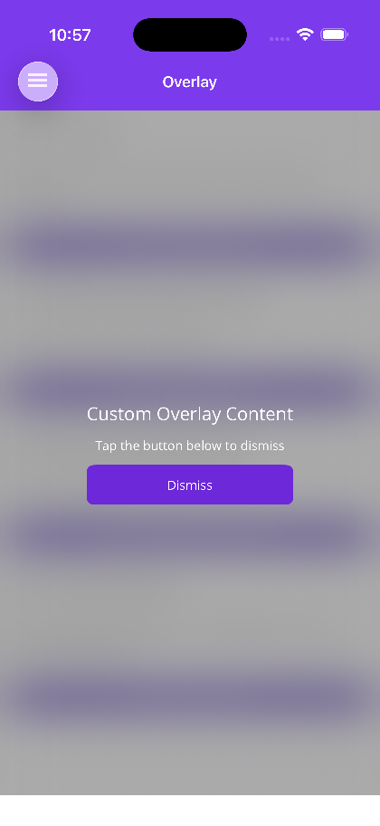 Custom Overlay