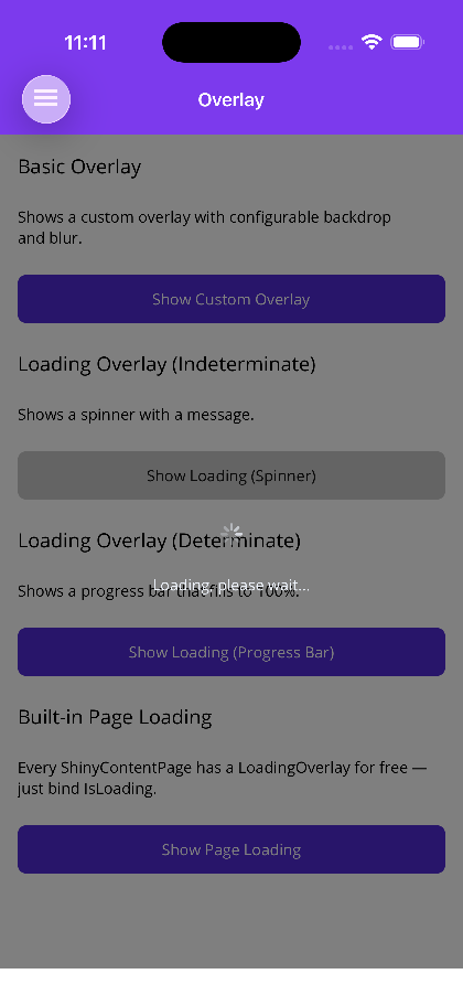 Loading Spinner