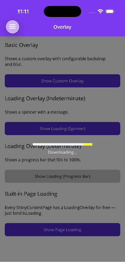 Loading Progress