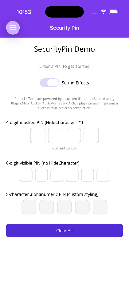 SecurityPin